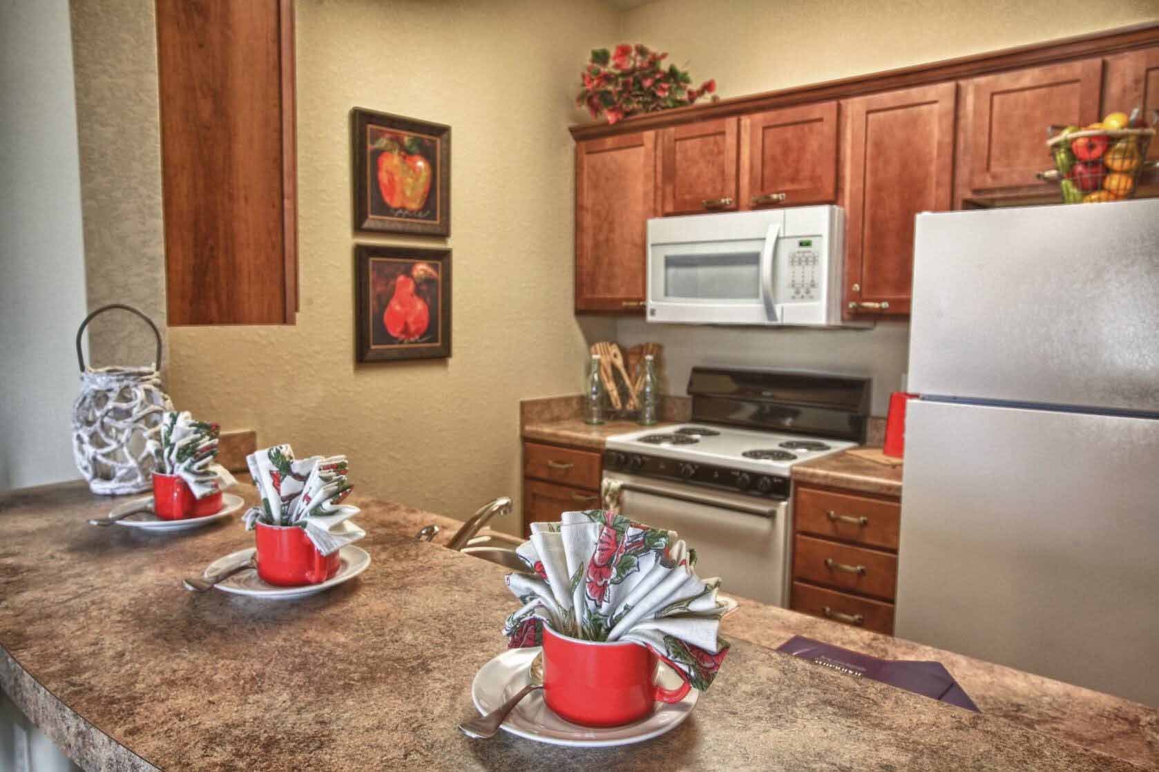 the-fountains-at-hosanna-resident-kitchen
